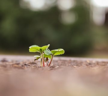 | kAdvisory | doradztwo transakcyjne | wyceny spółek i due diligence